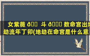 女紫薇 🐠 斗 🐞 数命宫出地劫流年丁卯(地劫在命宫是什么意思)